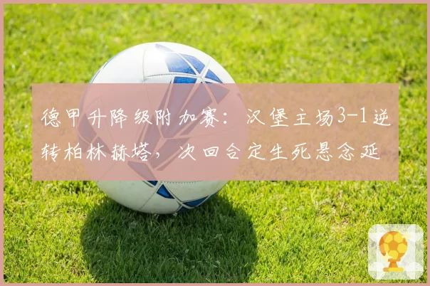 德甲升降级附加赛：汉堡主场3-1逆转柏林赫塔，次回合定生死悬念延续